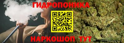 крисы Кунгур
