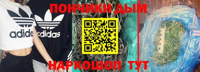 крисы Кунгур