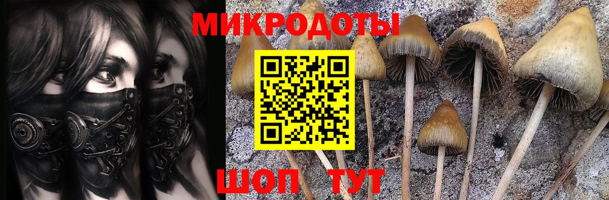 Кимры  Галлюциногенные грибы ЛСД  Вход с VPN 